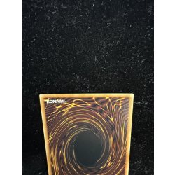 画像6: ☆アジア☆星読みの魔術師ホロスコープマジシャン【グランドマスター】{アジアLOCH-JP014}《モンスター》