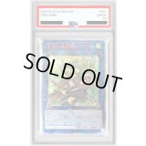 〔※状態難/PSA9鑑定済〕蒼翠の風霊使いウィン【20thシークレット】{RIRA-JP046}《リンク》