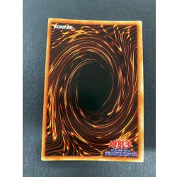 画像7: 青眼の白龍(初期)【シークレット】{-}《モンスター》