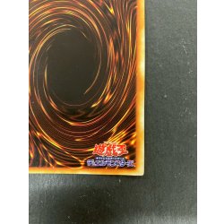 画像11: 青眼の白龍(初期)【シークレット】{-}《モンスター》