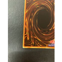 画像10: 青眼の白龍(初期)【シークレット】{-}《モンスター》