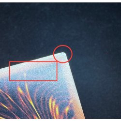 画像9: レッドデーモンズチェーン【グランドマスター】{LOCR-JP009}《罠》