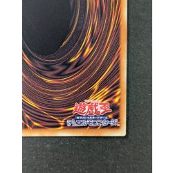 画像11: 〔状態A-〕☆アジア☆スターダストドラゴンヴィクテムサンクチュアリ【グランドマスター】{アジアLOCH-JP007}《シンクロ》