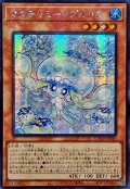 〔状態A-〕☆アジア☆マルチャミープルリア【シークレット】{アジアLOCH-JP046}《モンスター》