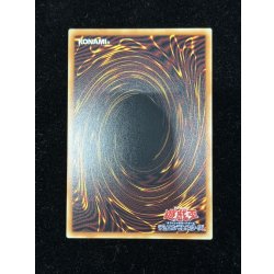 画像5: 銀河眼の輝光子竜【グランドマスター】{LOCR-JP011}《モンスター》