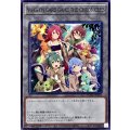 〔状態B〕(精霊術の使い手)YuGiOh!CARDGAMETHECHRONICLES【ノーマル】{YCTC-JP003}《トークン》