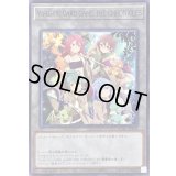 (精霊術の使い手)YuGiOh!CARDGAMETHECHRONICLES【ノーマル】{YCTC-JP003}《トークン》