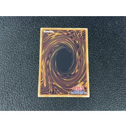 画像5: 〔状態A-〕☆アジア☆シンクロエマージェンシー【グランドマスター】{アジアLOCH-JP009}《罠》