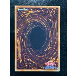 画像7: 〔状態A-〕☆アジア☆デコードトーカーインテグレーション【グランドマスター】{アジアLOCH-JP016}《リンク》