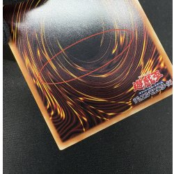 画像11: 〔状態A-〕四天の龍スターヴヴェノムフュージョンドラゴン【グランドマスター】{LOCR-JP013}《融合》