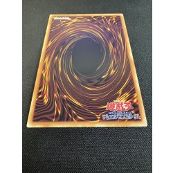 画像6: 〔状態A-〕四天の龍スターヴヴェノムフュージョンドラゴン【グランドマスター】{LOCR-JP013}《融合》