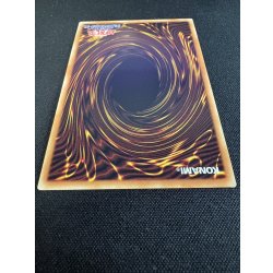 画像7: 〔状態A-〕四天の龍スターヴヴェノムフュージョンドラゴン【グランドマスター】{LOCR-JP013}《融合》