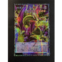 画像2: 〔状態A-〕四天の龍スターヴヴェノムフュージョンドラゴン【グランドマスター】{LOCR-JP013}《融合》