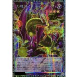 〔状態A-〕四天の龍スターヴヴェノムフュージョンドラゴン【グランドマスター】{LOCR-JP013}《融合》