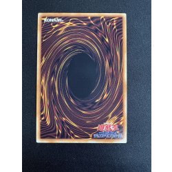 画像5: ☆アジア☆終撃竜サイバーエンドドラゴン【グランドマスター】{アジアLOCR-JP004}《融合》