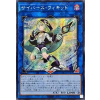 ☆アジア☆サイバースウィキッド【シークレット】{アジアLOCH-JP063}《リンク》