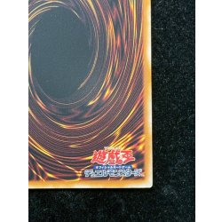 画像14: 〔状態A-〕『トークンあり』side:PRIDEスペシャルカードセット(青眼の白龍&真紅眼の黒竜)【-】{-}《その他》