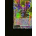 画像5: 四天の龍スターヴヴェノムフュージョンドラゴン【グランドマスター】{LOCR-JP013}《融合》 (5)