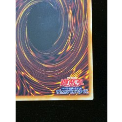 画像11: 四天の龍スターヴヴェノムフュージョンドラゴン【グランドマスター】{LOCR-JP013}《融合》