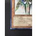 画像5: 〔状態B〕光の創造神ホルアクティ【ウルトラ】{YGOPR-JP001}《モンスター》 (5)