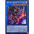 ☆アジア☆黒き混沌の魔術師ブラックカオス【シークレット】{アジアCORI-JP027}《儀式》