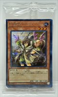 (未開封)地霊使いアウス(六属性カード6種)【-】{-}《その他》