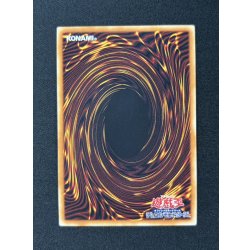 画像5: 〔状態A-〕四天の龍スターヴヴェノムフュージョンドラゴン【グランドマスター】{LOCR-JP013}《融合》