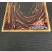 画像9: 『トークンあり』side:UNITYスペシャルカードセット(ブラックマジシャン&ブラックマジシャンガール)【-】{-}《その他》 (9)