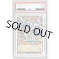 〔PSA10鑑定済〕聖域を守護せし光の龍【オーバーラッシュレア】{RD/WC24-JPR01}《RDモンスター》