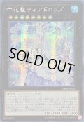 〔状態B〕☆アジア☆六花聖ティアドロップ【シークレット】{アジアDBSS-JP022}《エクシーズ》