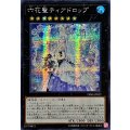 〔状態A-〕☆アジア☆六花聖ティアドロップ【シークレット】{アジアDBSS-JP022}《エクシーズ》