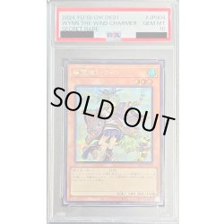 画像1: 〔PSA10鑑定済〕(新)風霊使いウィン【シークレット】{DK01-JP004}《モンスター》