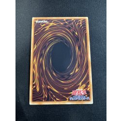 画像5: 〔状態A-〕☆アジア☆ヴァレットバラージュ【グランドマスター】{アジアLOCR-JP017}《リンク》