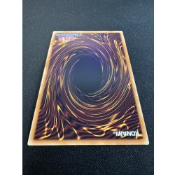 画像7: 〔状態A-〕☆アジア☆ヴァレットバラージュ【グランドマスター】{アジアLOCR-JP017}《リンク》