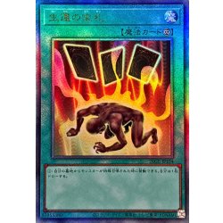 画像1: 生還の宝札【レリーフ】{26GE-JP104}《魔法》