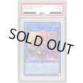 〔※状態難/PSA10鑑定済〕WPファンシーボール【シークレット】{LOCH-JP026}《リンク》