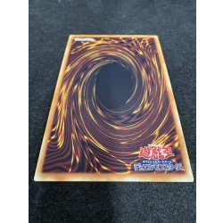 画像6: 〔状態A-〕四天の龍スターヴヴェノムフュージョンドラゴン【グランドマスター】{LOCR-JP013}《融合》