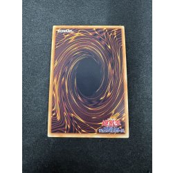 画像5: 〔状態A-〕四天の龍スターヴヴェノムフュージョンドラゴン【グランドマスター】{LOCR-JP013}《融合》