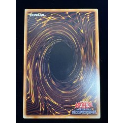 画像5: 〔状態A-〕☆アジア☆ドラゴン導きの呼笛【グランドマスター】{アジアLOCR-JP003}《魔法》