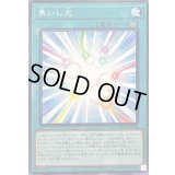 集いし光【ノーマル】{24PP-JP010}《魔法》