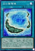 白の循環礁【ノーマル】{24PP-JP015}《魔法》