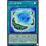 白の循環礁【ノーマル】{24PP-JP015}《魔法》