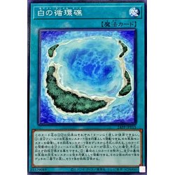 画像1: 白の循環礁【ノーマル】{24PP-JP015}《魔法》