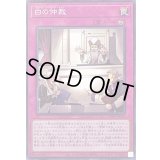 白の仲裁【ノーマル】{24PP-JP016}《罠》