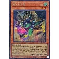 画像1: 〔状態A-〕若い忍者【シークレット】{24PP-JP024}《モンスター》