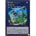 〔状態B〕神羊樹バロメット【シークレット】{24PP-JP028}《エクシーズ》