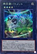 〔状態B〕神羊樹バロメット【シークレット】{24PP-JP028}《エクシーズ》