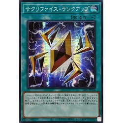 画像1: ☆アジア☆サクリファイスランクアップ【シークレット】{アジア24PP-JP014}《魔法》