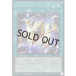 画像1: ☆アジア☆サクリファイスランクアップ【シークレット】{アジア24PP-JP014}《魔法》