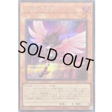 〔状態B〕レッドノヴァ【シークレット】{25DB-JP022}《モンスター》